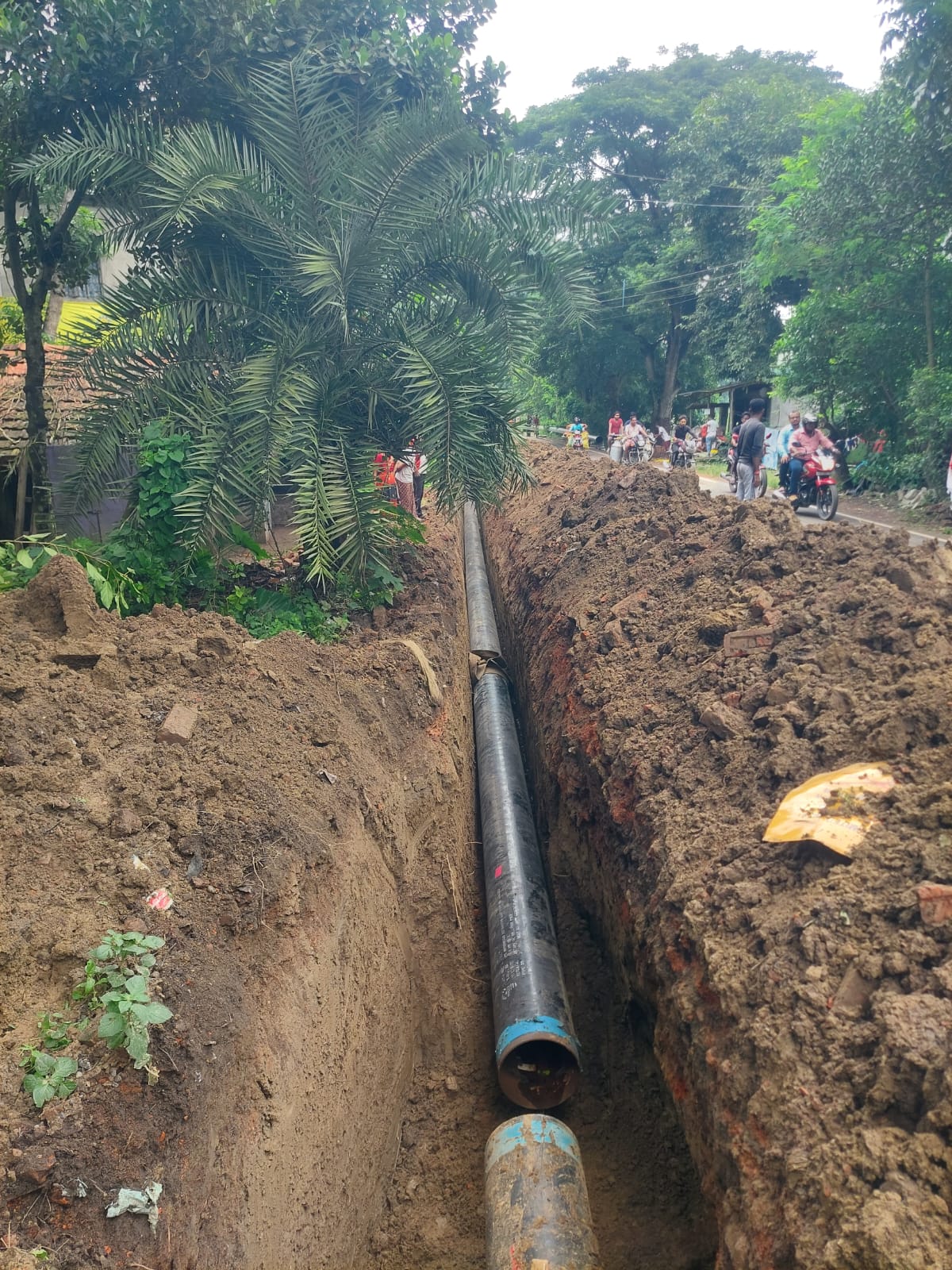 WhatsApp Image 2024-08-31 at 8.54.47 AM